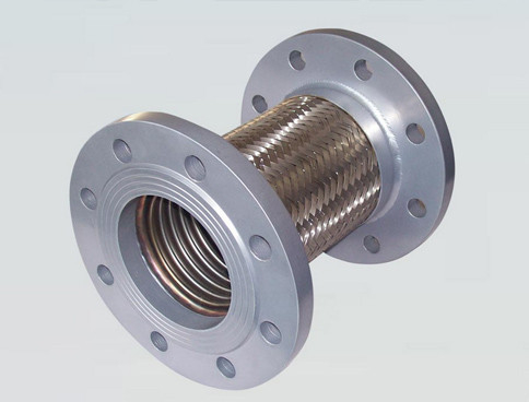 Roestvrij staal flexibel DN 1/4-12 inch golfmatig metalen slang met assemblage flens
