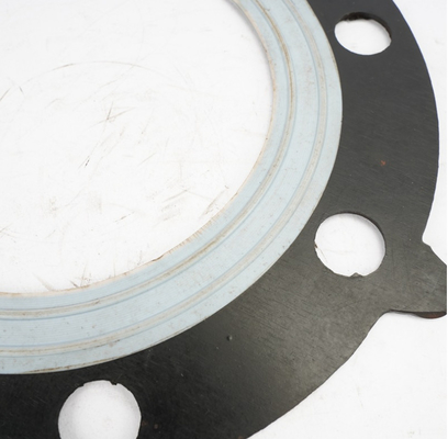 Van de de Flenspakking van PTFE de Rubber van het het Voedselchemische product Farmaceutische bekleding