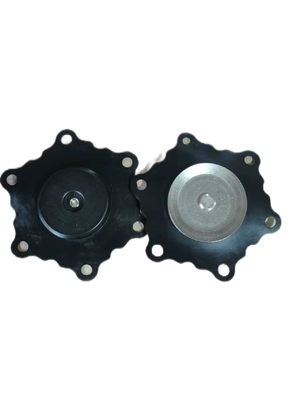 Draadverbinding roestvrij staal magnetoventil Diafragma 24V 0-10 bar Drukweerstand