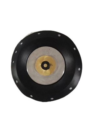 Stainless Steel Diaphragm Solenoïde Valve 10 bar Drukweerstand Draadverbinding